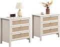 Rattan Storage Nightstand Set